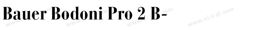 Bauer Bodoni Pro 2 B字体转换
